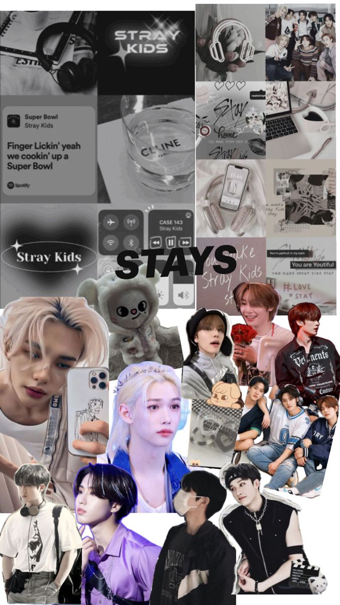Stray kids board- STAYS