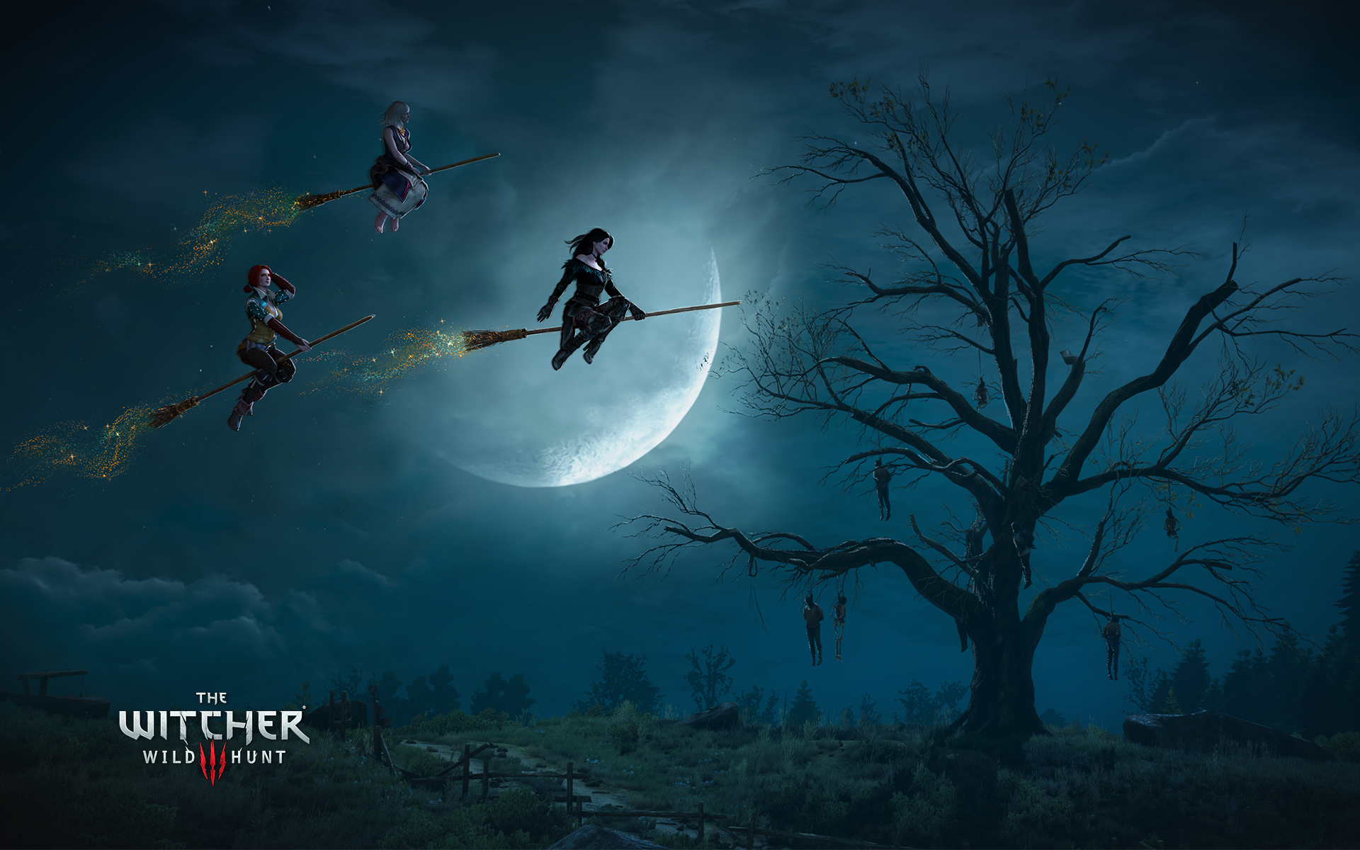 The Witcher 3: Wild Hunt HD Wallpaper