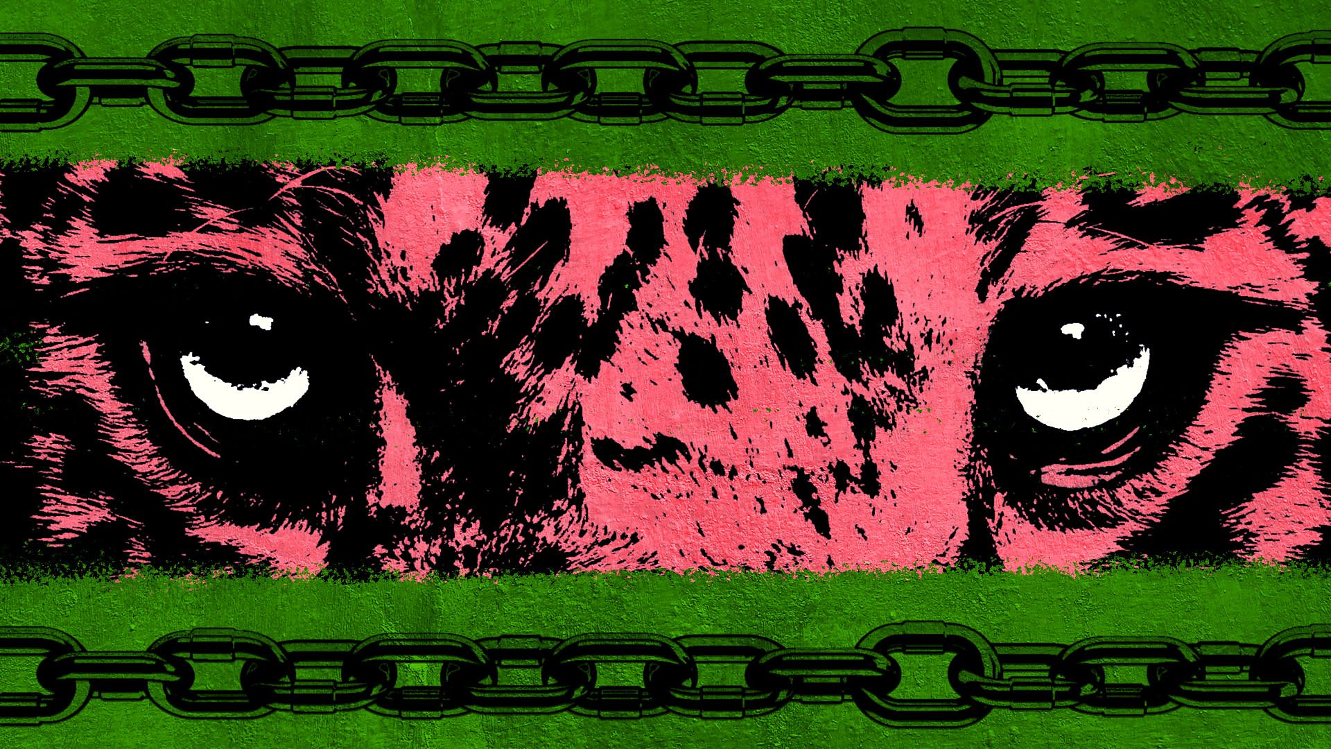 I spent eight months working for a Mexican drug cartel'