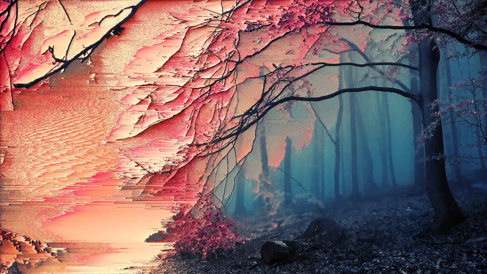 glitch art, Sakura (tree), Forest, Trees Wallpaper HD / Desktop and Mobile Background