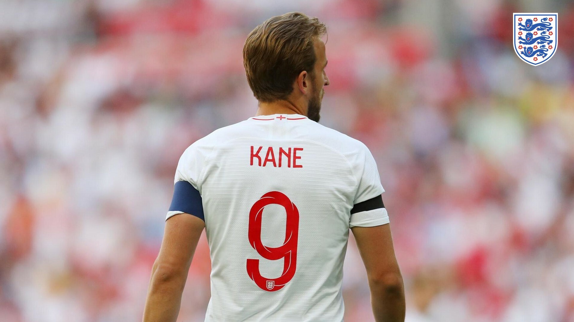 Harry Kane Wallpaper