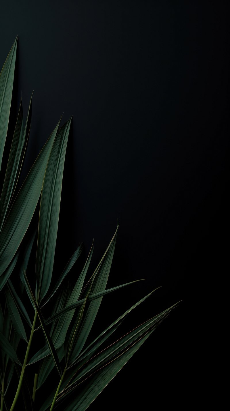 Dark Wallpaper Phone Wallpaper