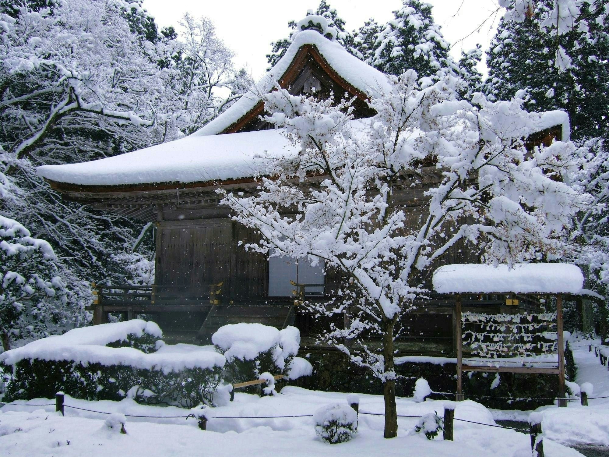 [4K 三千院・雪　京都大原　京都の庭園　Sanzen In Temple In Snow [4K The Garden Of Kyoto Japan