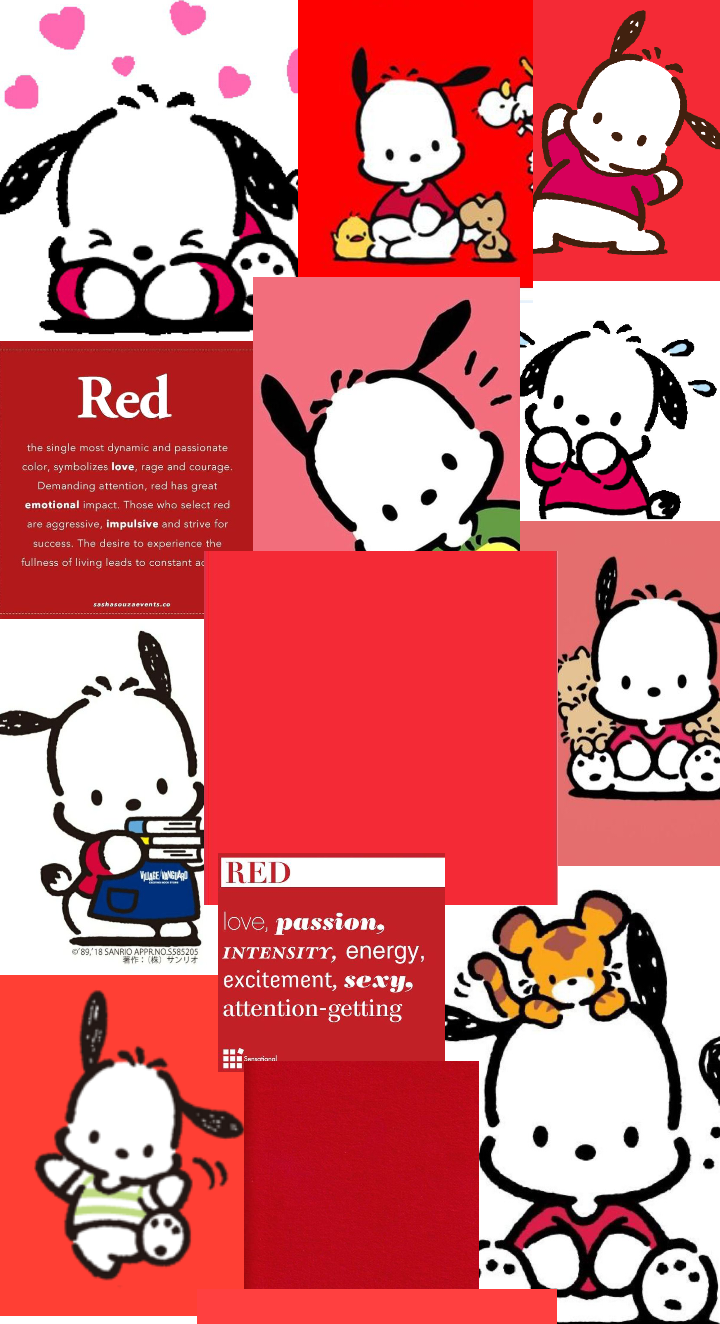 pochacco Wallpaper Outfit