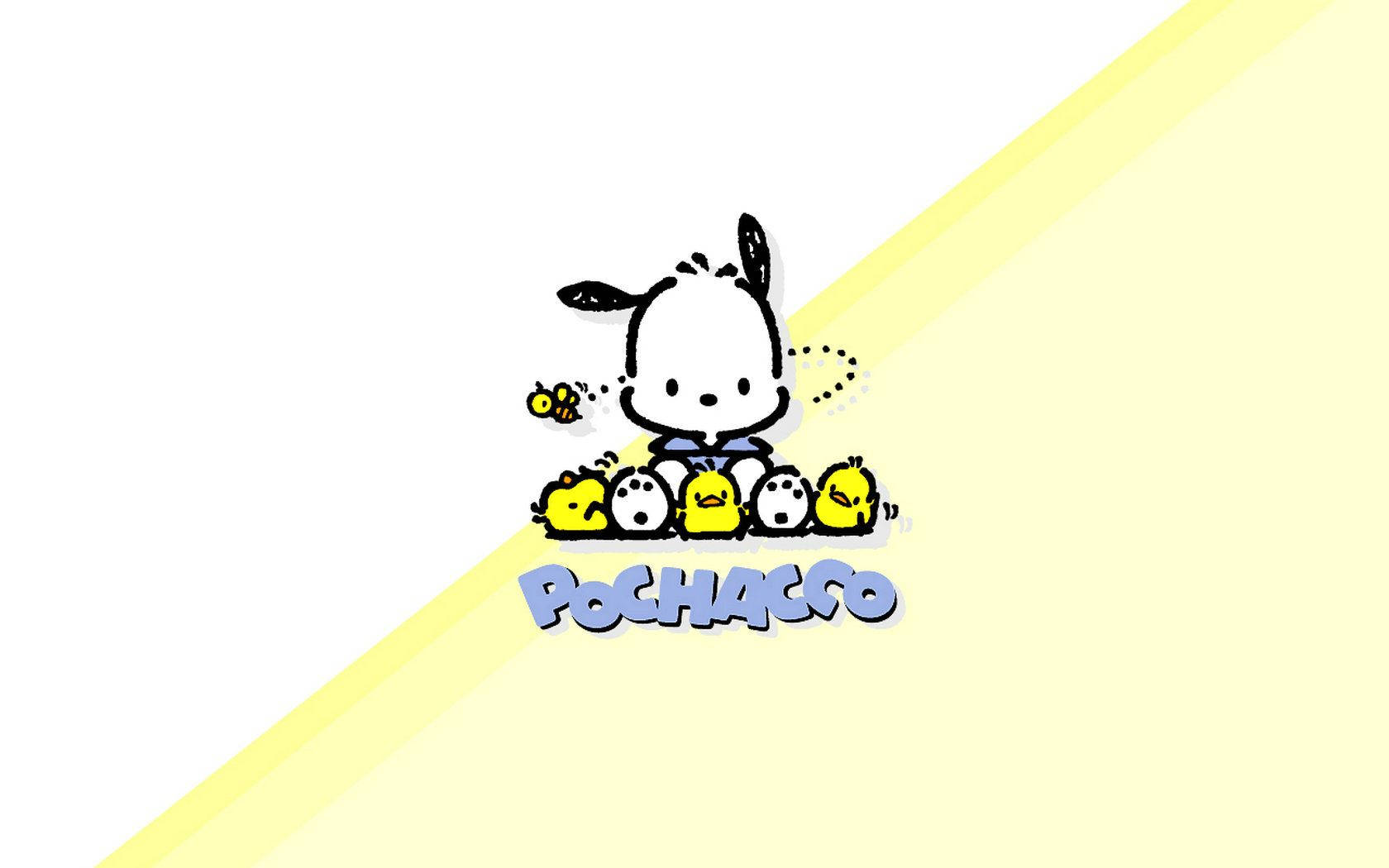 Pochacco Wallpaper