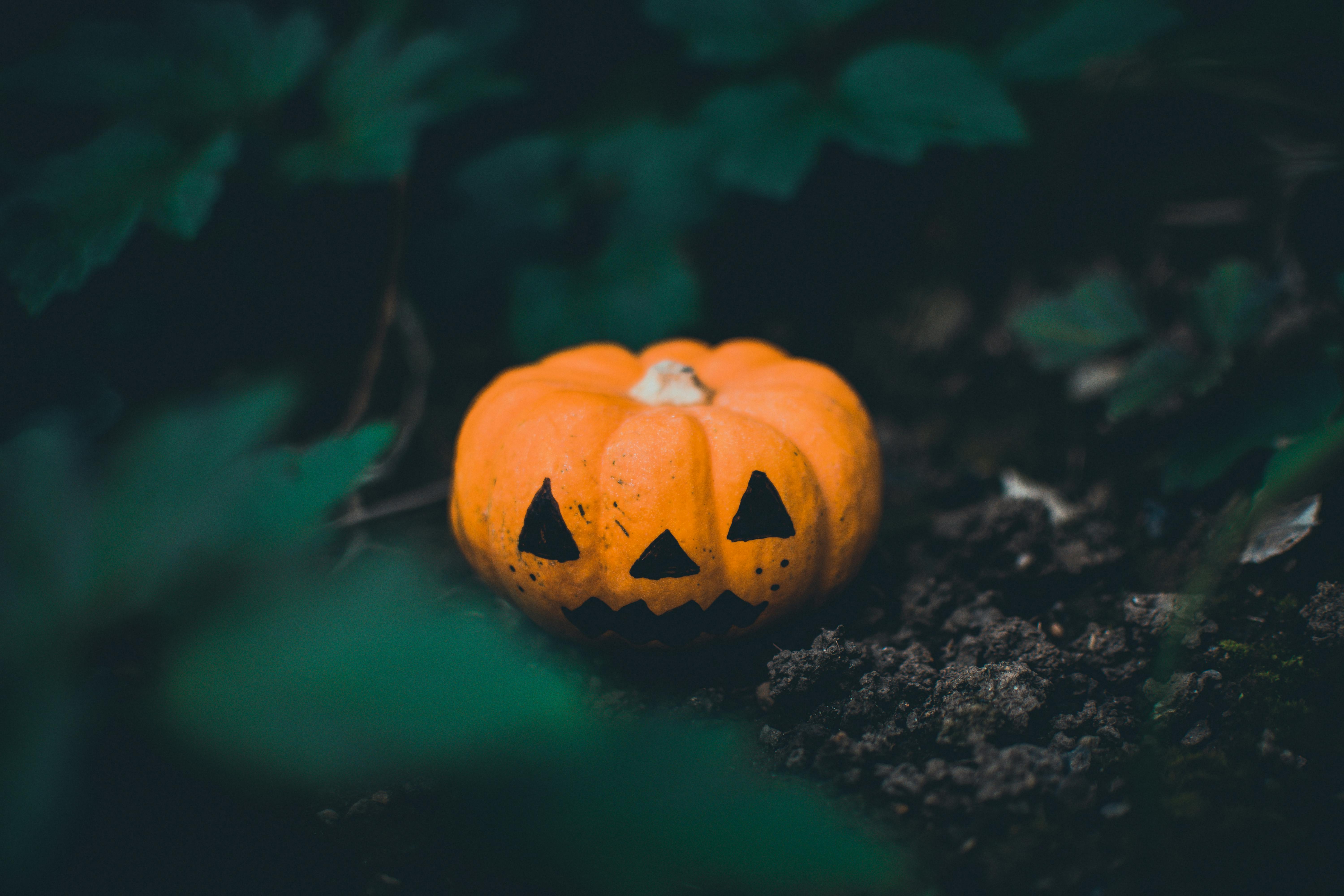 Halloween Wallpaper Photo, Download The BEST Free Halloween Wallpaper & HD Image