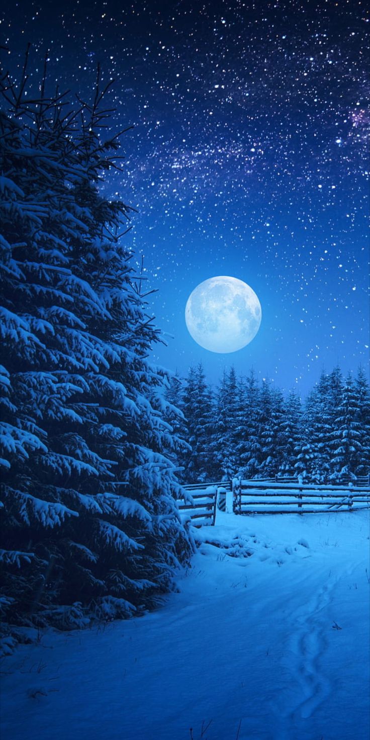 Dark winter night wallpaper for iPhone