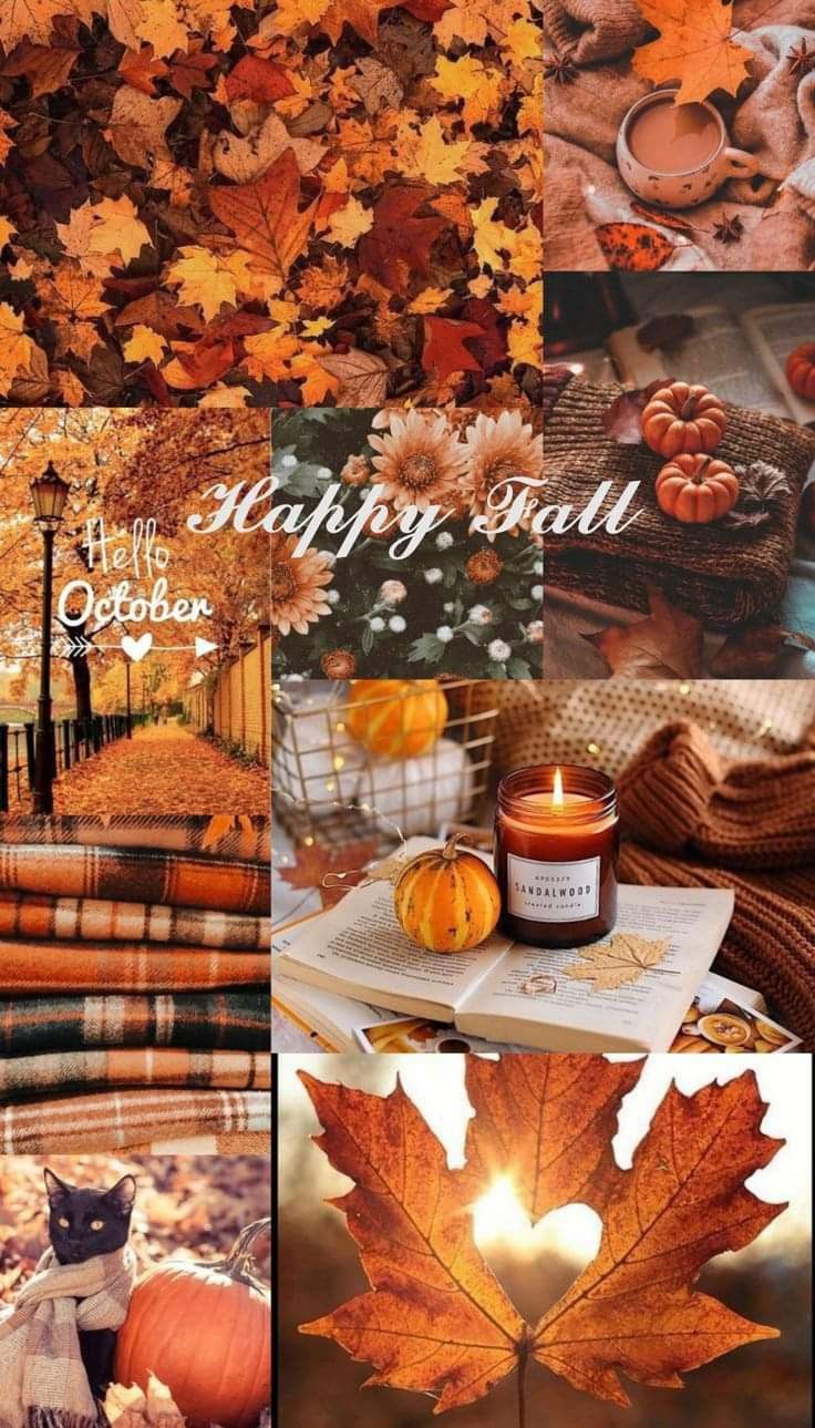 Wallpaper (iPhone). iPhone wallpaper fall, Fall wallpaper, Autumn phone wallpaper