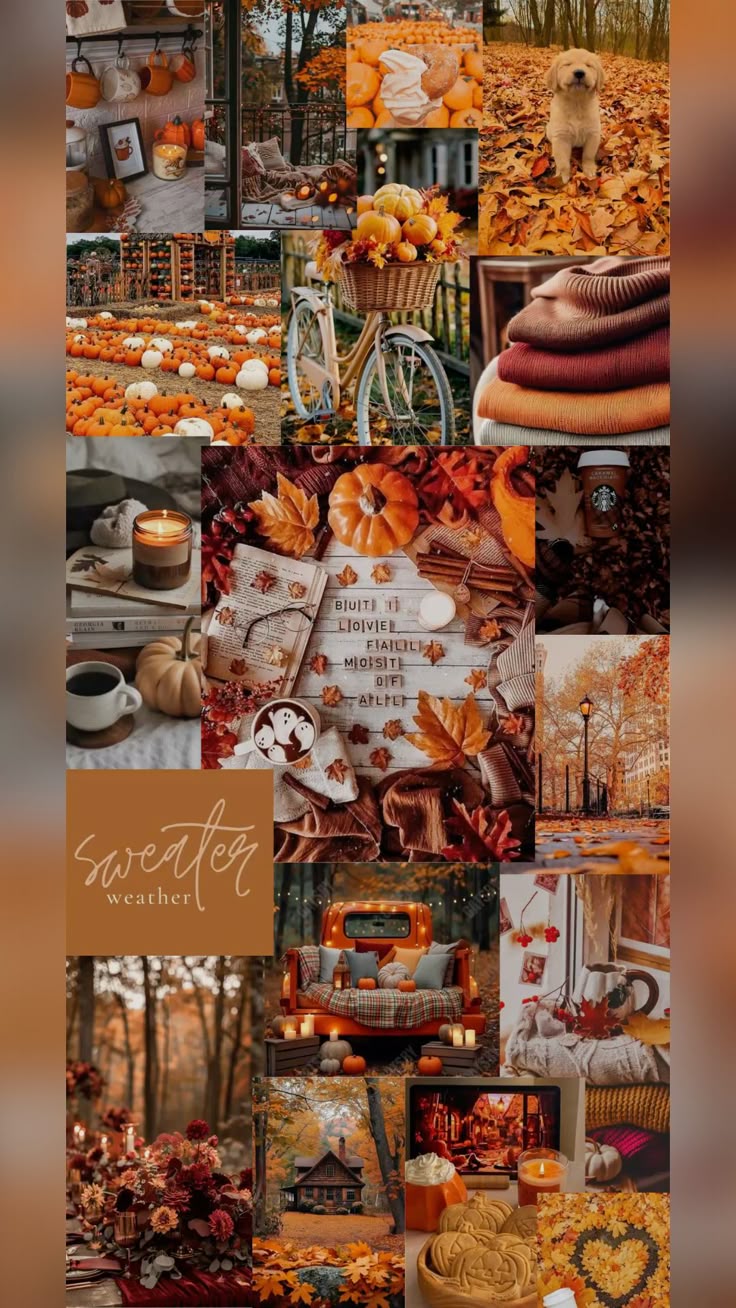 Fall aesthetic phone background. fall collage Lock Screen