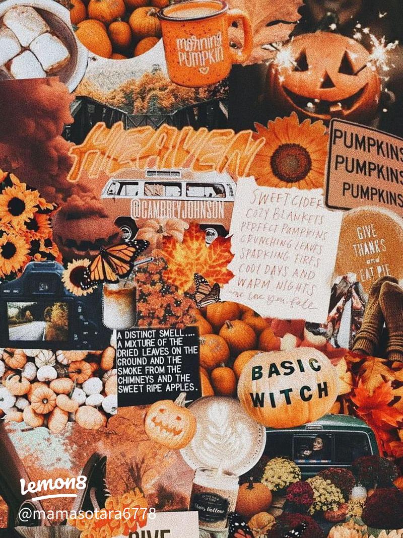 Stunning Fall Wallpaper to Brighten Your Space