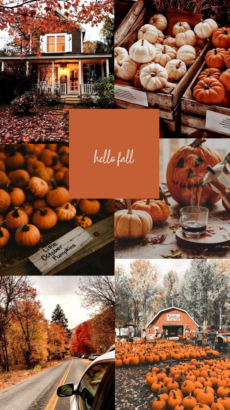 Fall Collage Wallpaper, HD Fall Collage Background on WallpaperBat