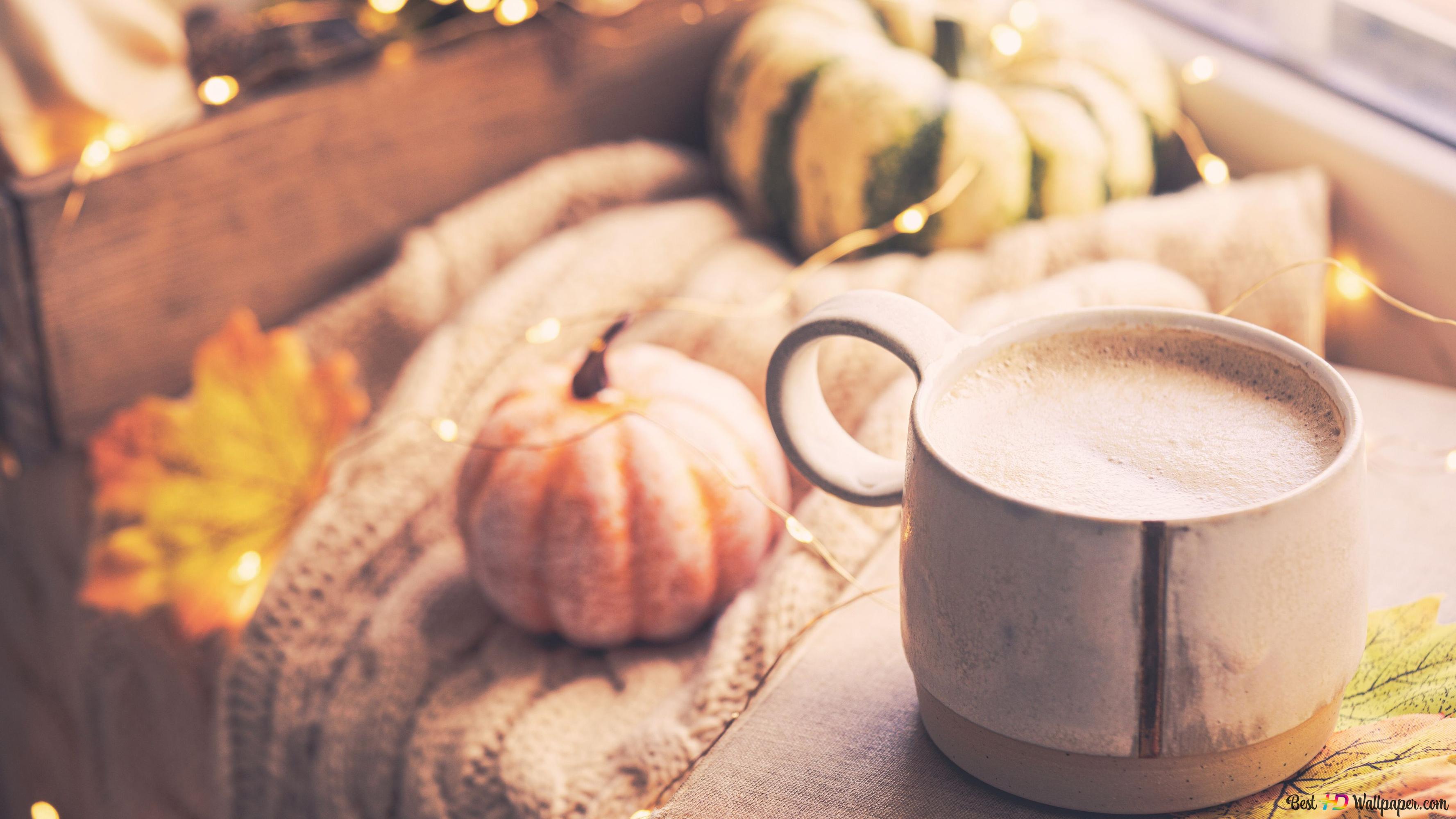 Fall decoration in mug small pumpkin sized and fall leaves 4K wallpaper download