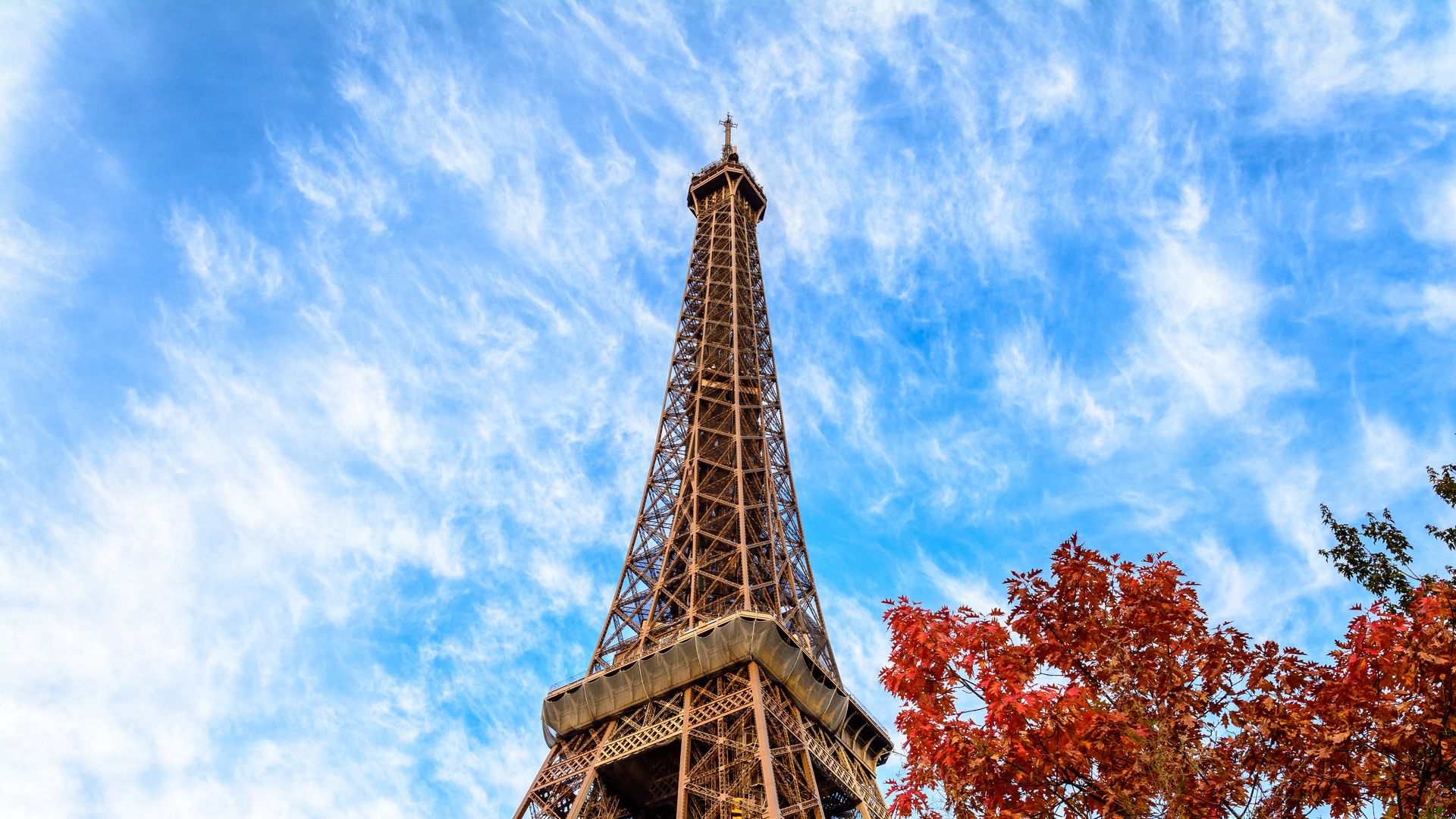 Download wallpaper 1920x1080 eiffel tower, tower, tree, autumn, sky, paris, france full hd, hdtv, fhd, 1080p HD background