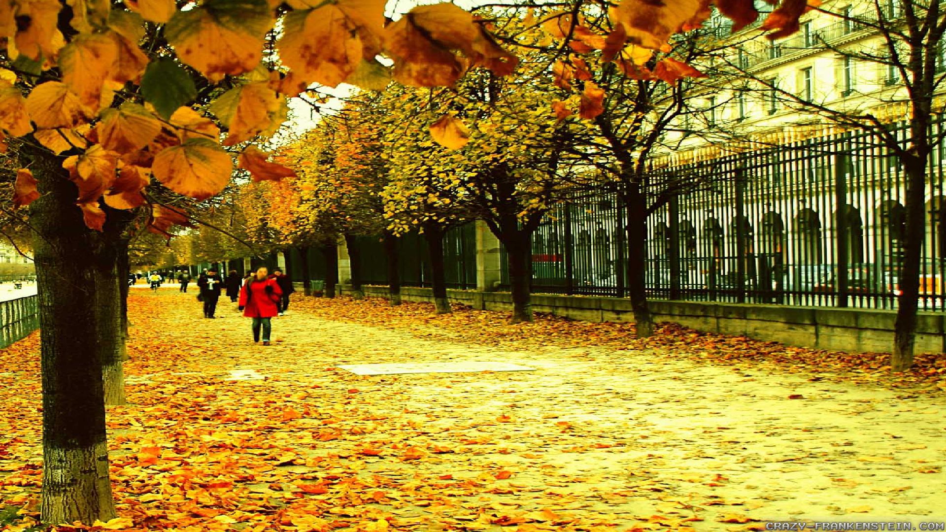 Paris Street Wallpaper [1920 x 1080]
