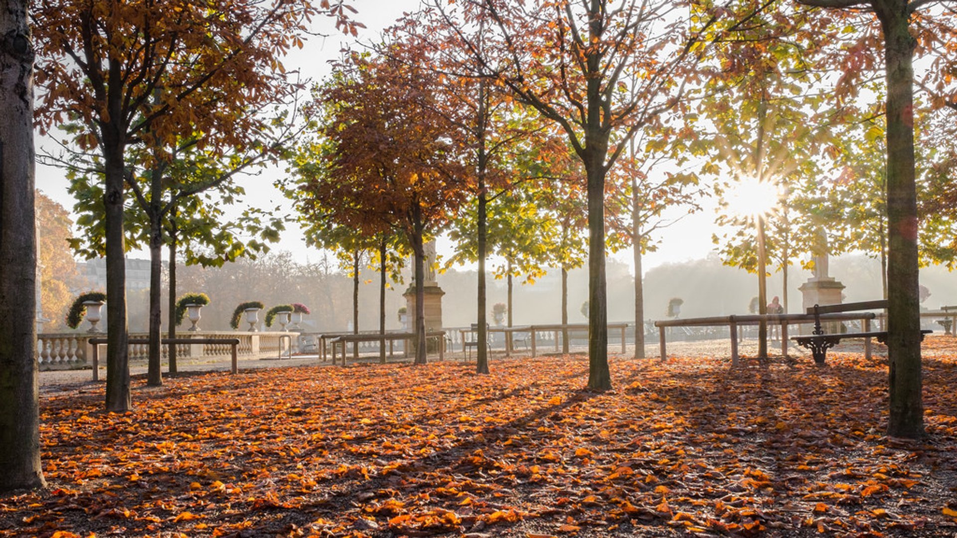 Parks and Gardens in Autumn Foliage, Paris 2025