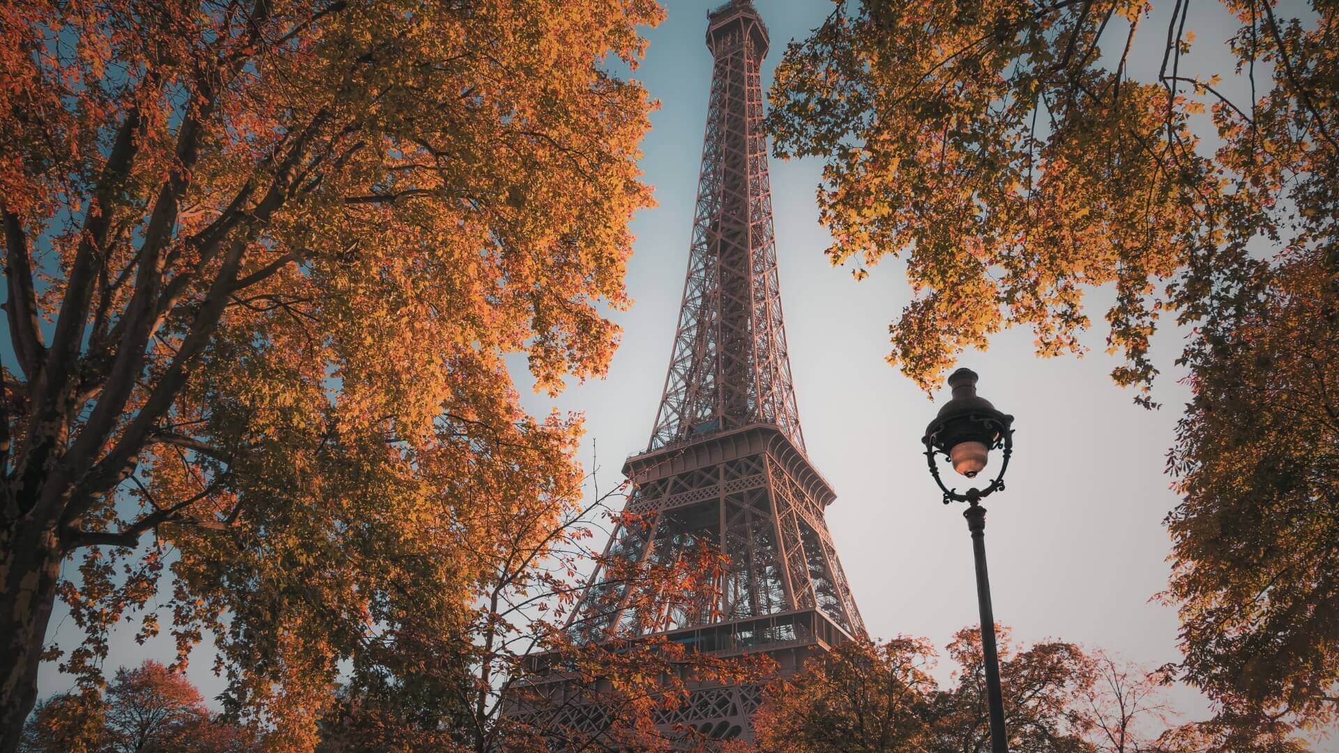 What to do in France in October?.L. Immersion