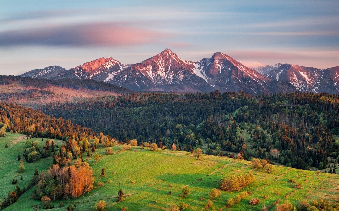 nature, Landscape, Morning, Sunrise, Mountain, Snowy Peak, Forest, Slovakia, Field Wallpaper HD / Desktop and Mobile Background