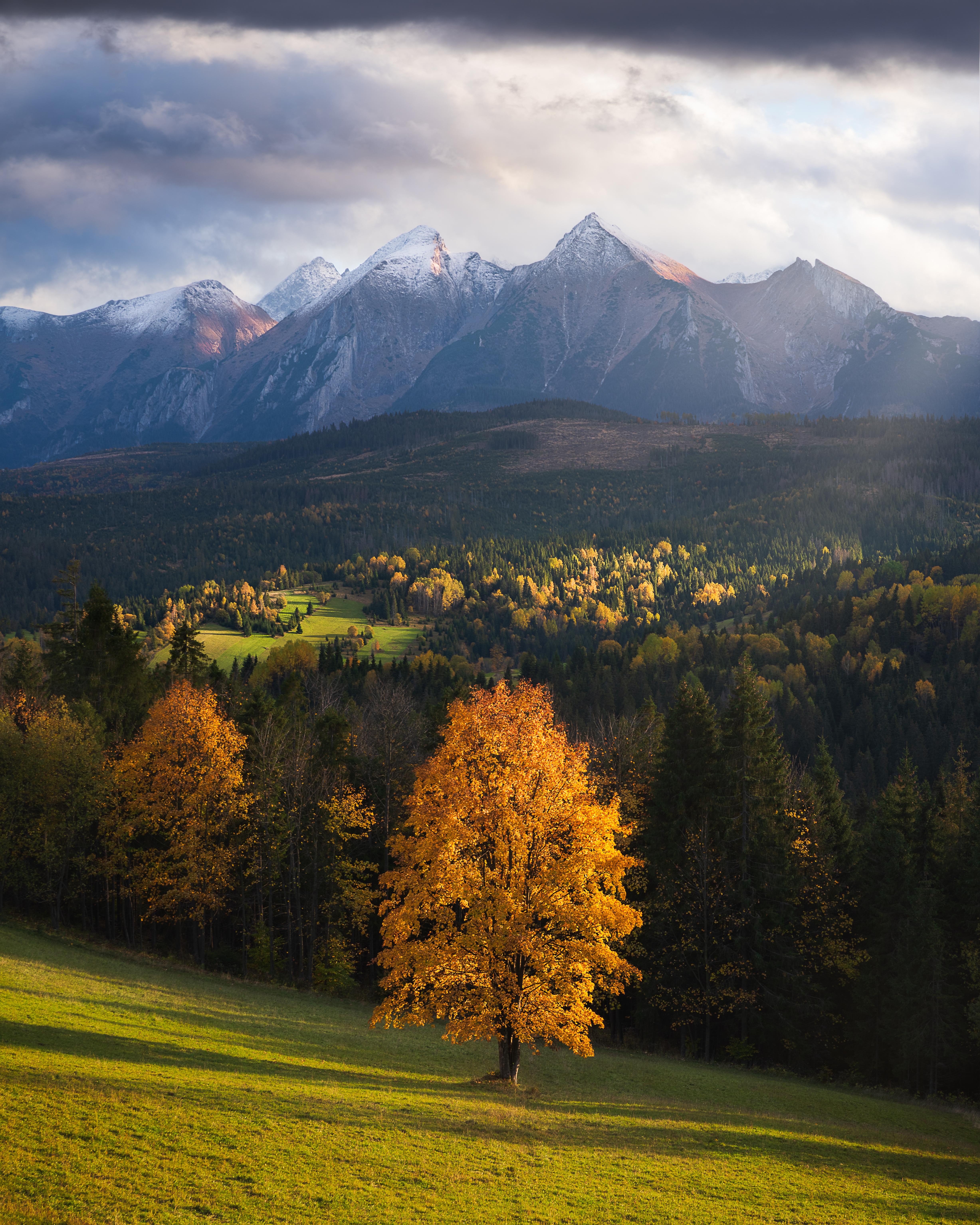 Stunning View Of The Tatra Mountains On The Polish Slovakian Border