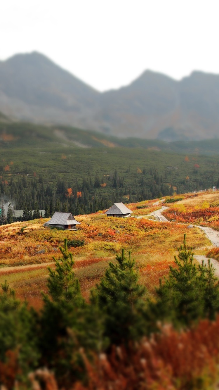 Slovakia, Western Carpathians, Tatra Mountains, House, Trees, Autumn 750x1334 IPhone 8 7 6 6S Wallpaper, Background, Picture, Image