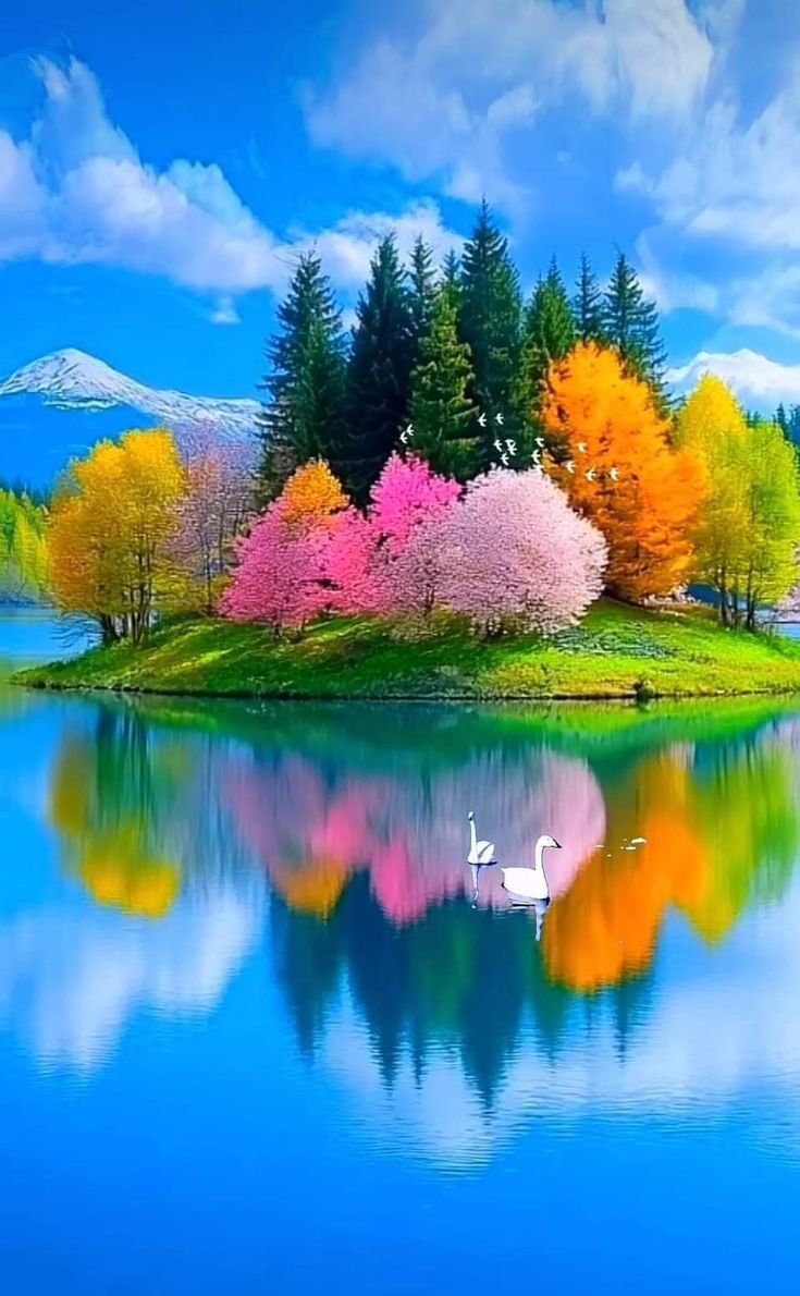 beautiful nature HD wallpaper, beautiful nature image, peaceful nature