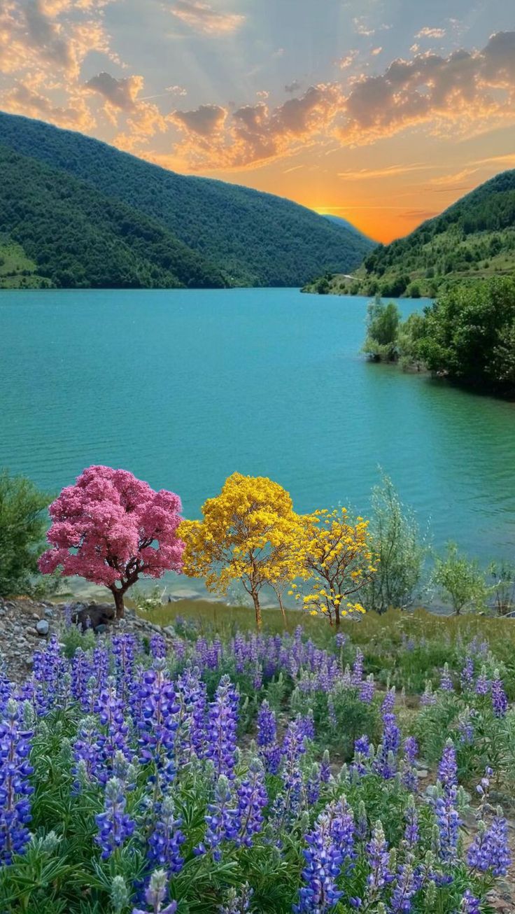 beautiful nature HD wallpaper, beautiful nature image, peaceful nature