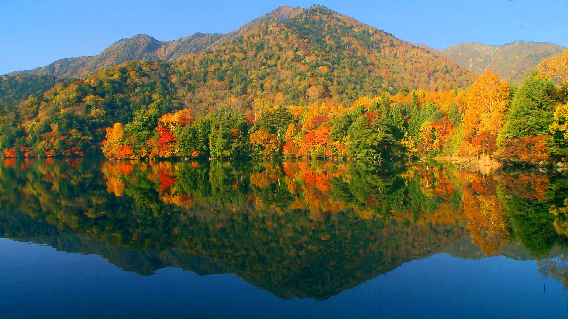 Free photo: Peaceful scenery, Green, Peace