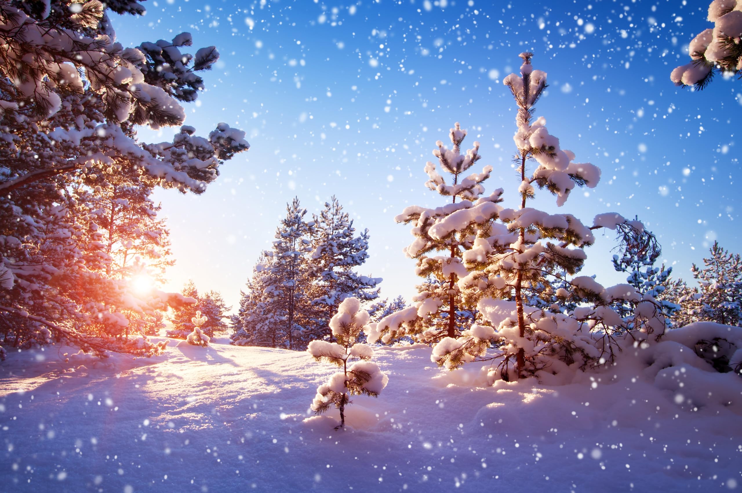 Amazon.com, CHNYWORK 8x6ft Winter Wonderland Backdrop Snow Flake Frozen Pine Trees Sunset Scenery Natural Background Christmas Winter Scenery Theme Party Decor Photo Booth Studio Props Wallpaper