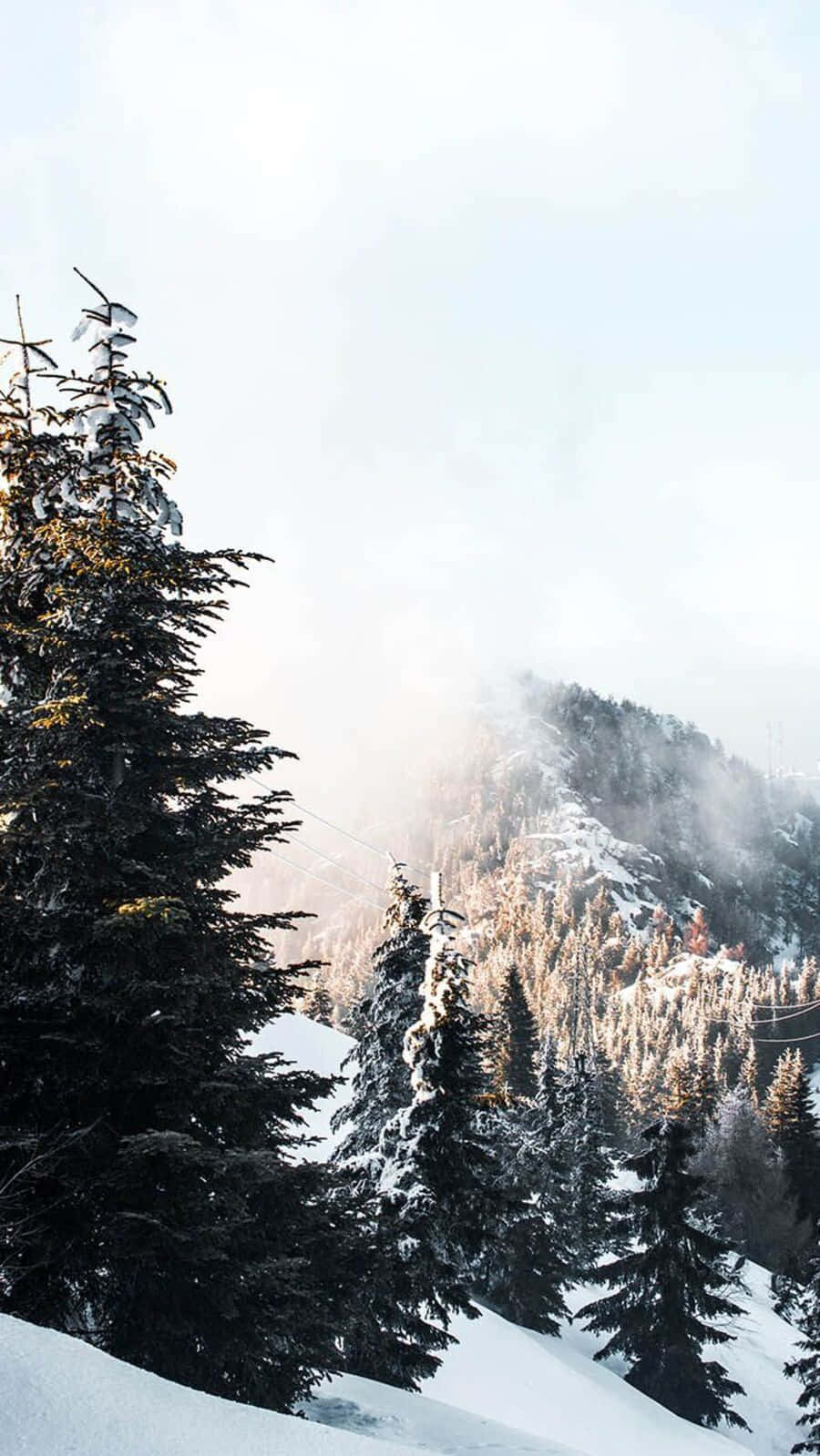 Download Cozy Winter Wonderland Wallpaper