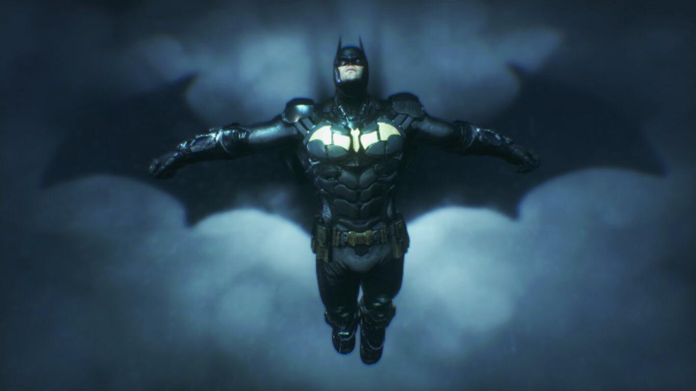 Shadow of the Bat (taken while diving off Wayne Tower)