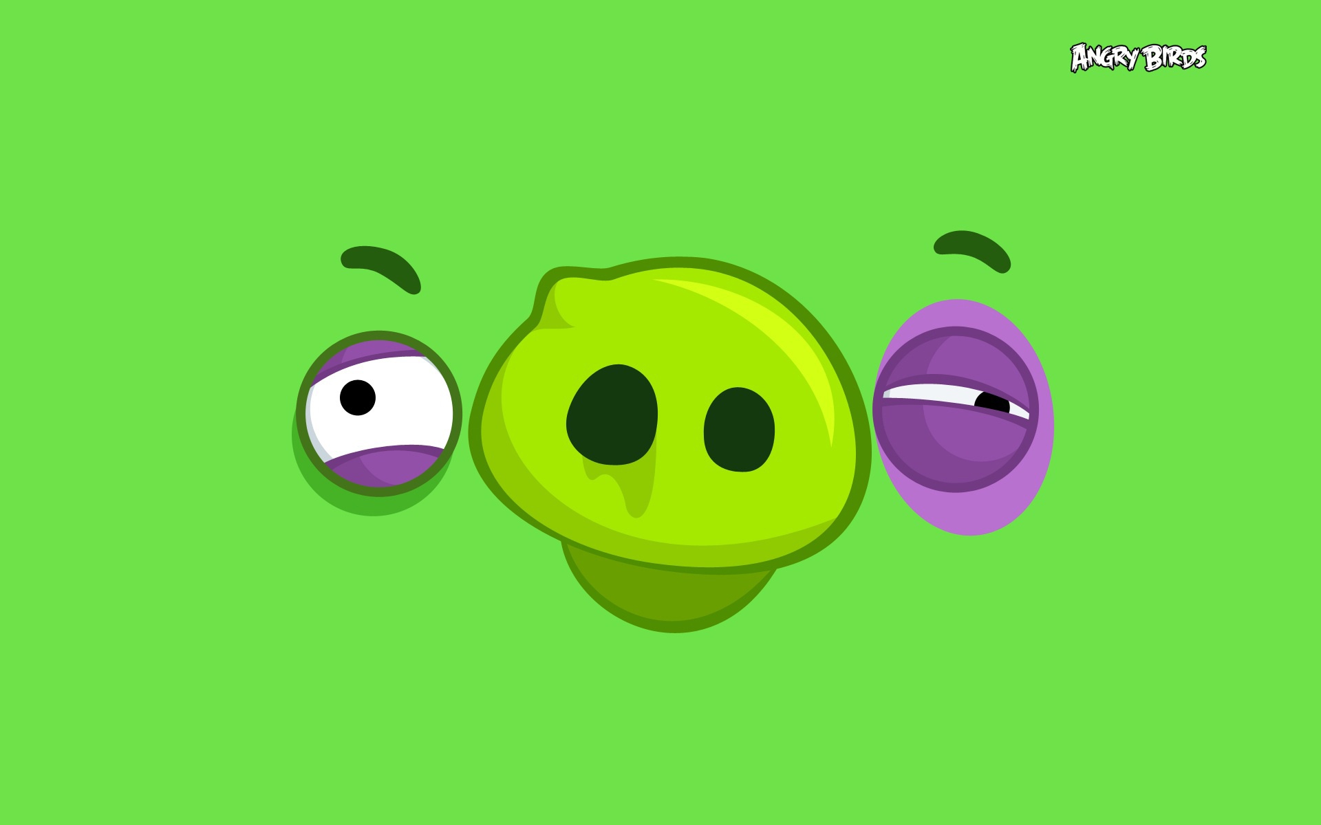 Wallpaper the game, pig, pig, Angry Birds for mobile and desktop, section игры, resolution 1920x1200