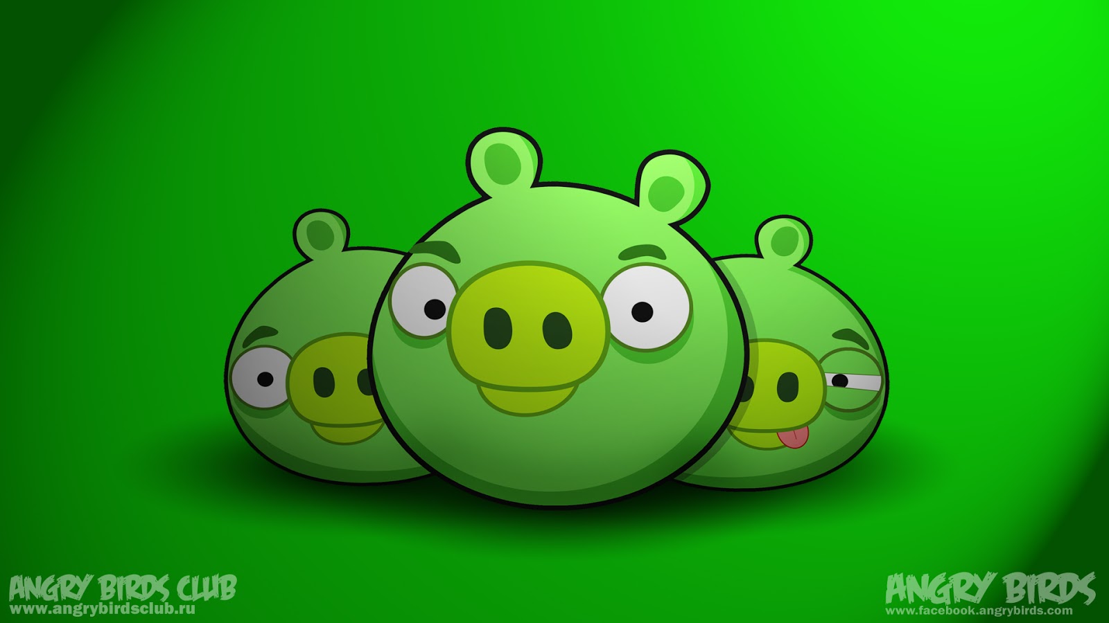 Angry Birds Pig Wallpaper 26048