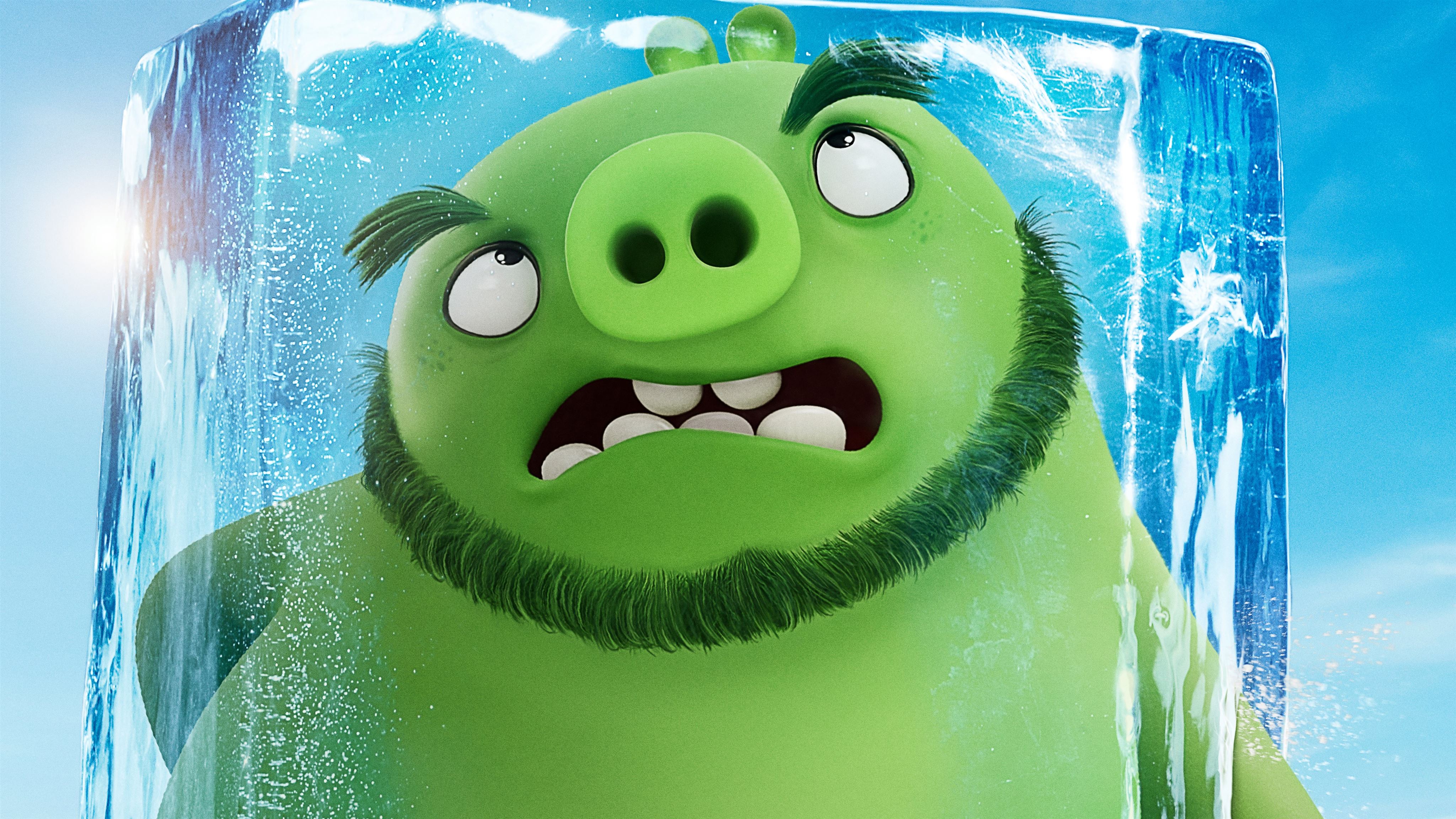 leonard the angry birds movie 2 MacBook Air Wallpaper Download