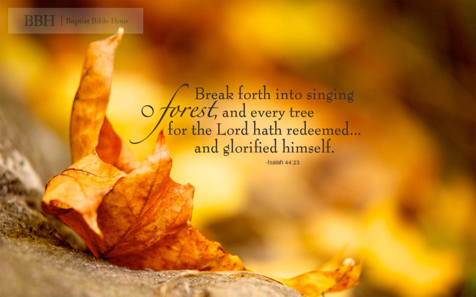 Fall Wallpaper With Scripture Verses