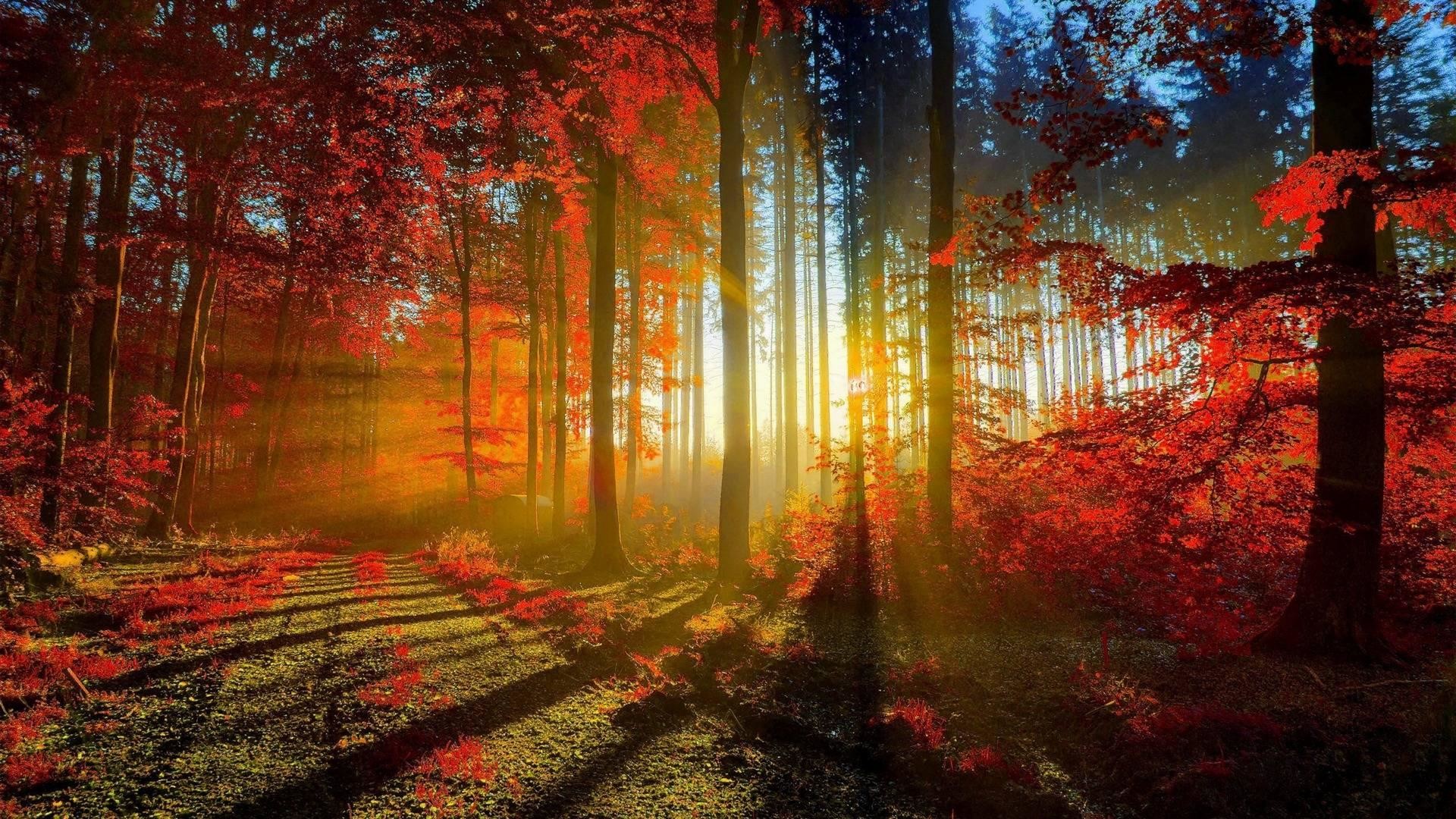 Christian Autumn Wallpaper