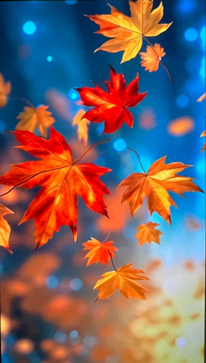 Colorful Autumn Leaves Floating in