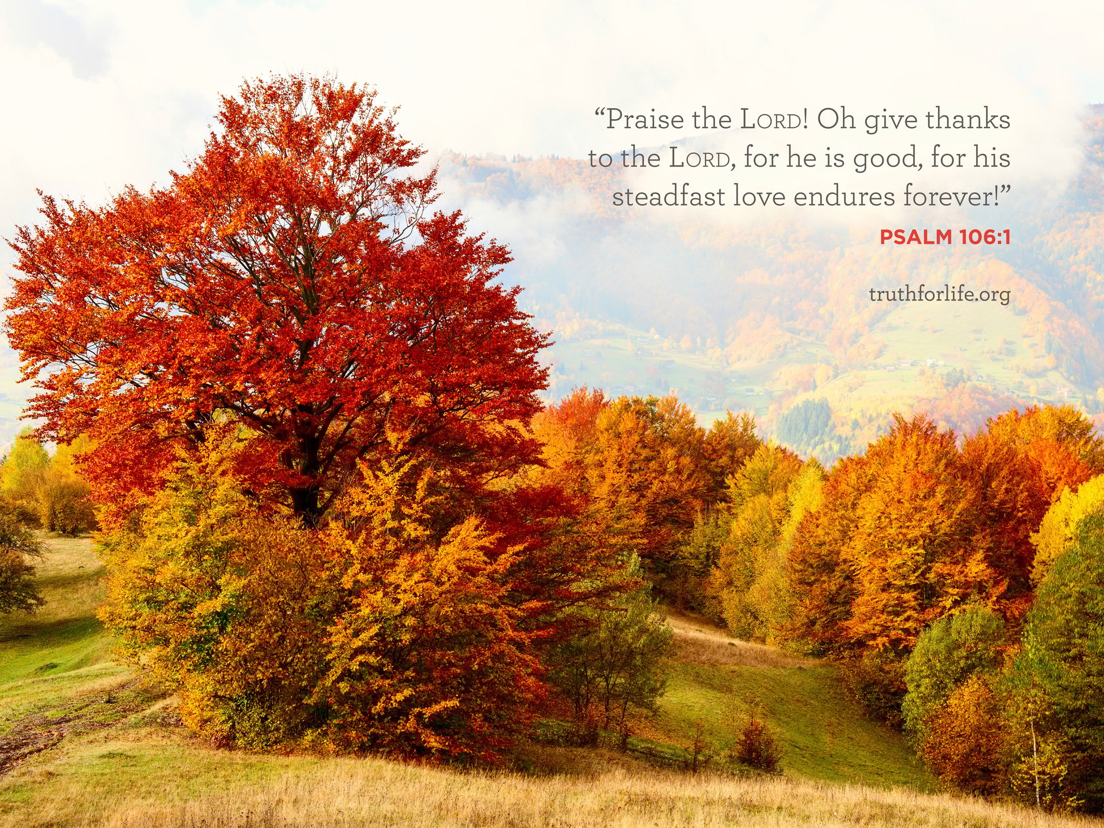 Wallpaper: Praise the Lord