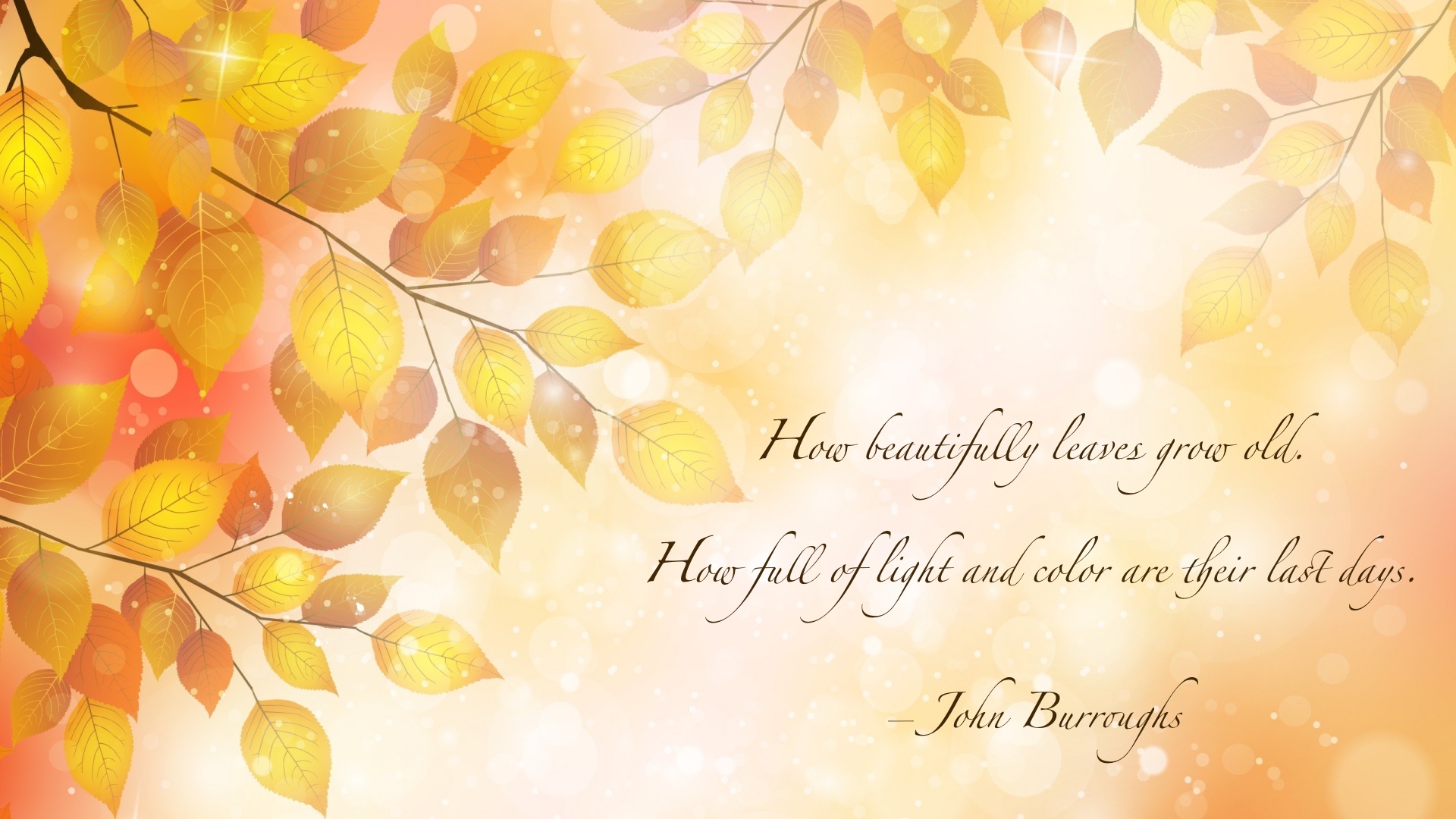 Download Fall Leaf John Burroughs Misc Quote HD Wallpaper