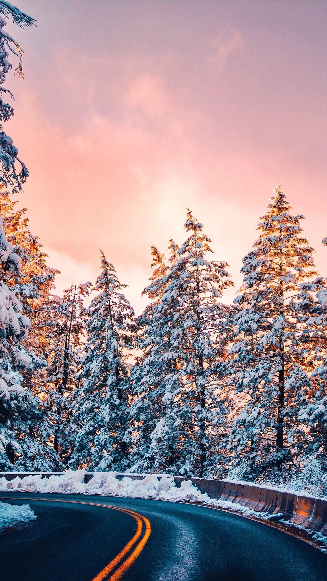 Winter Forest Road Wallpaper