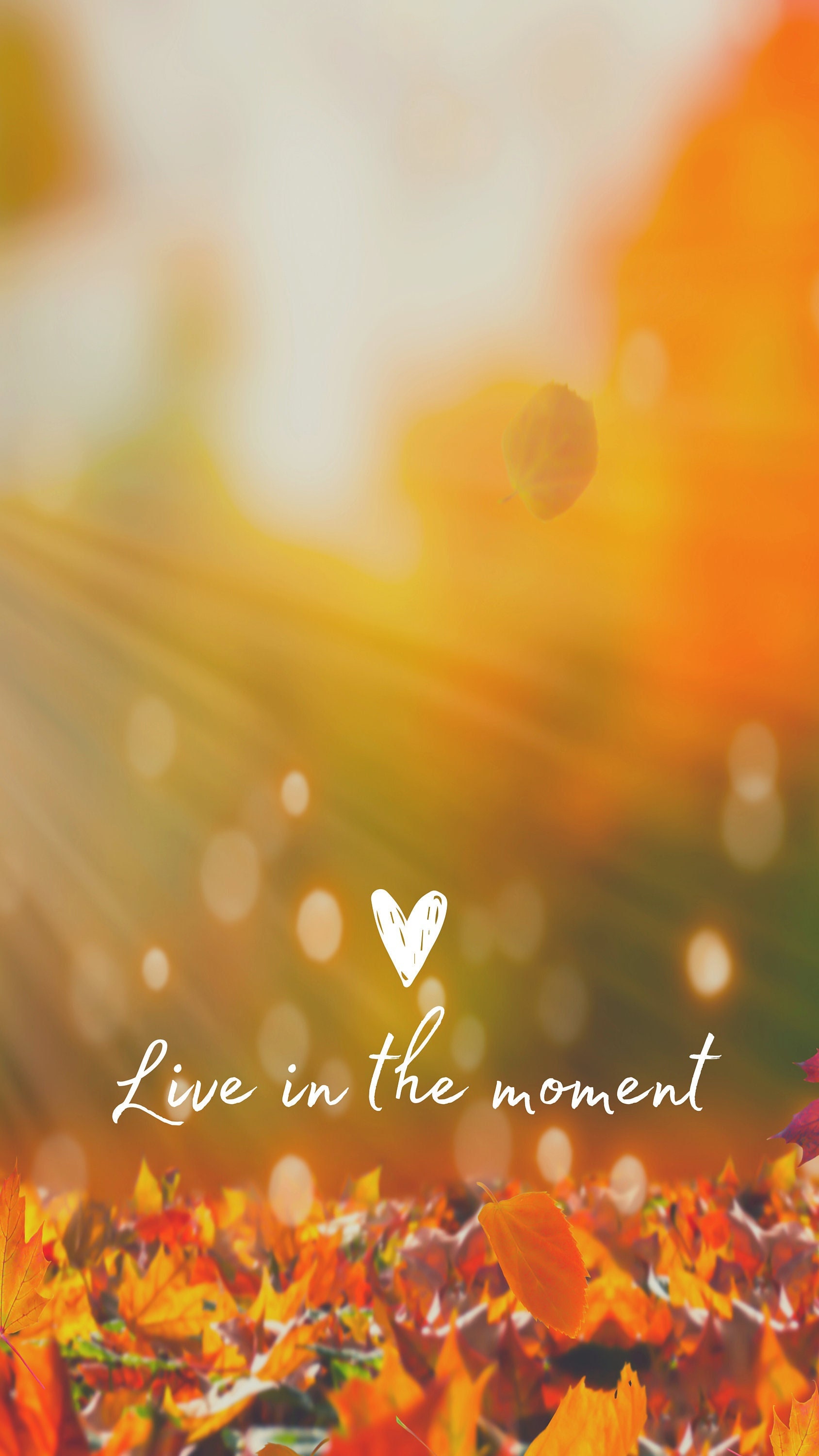 Live in the Moment Autumn Phone Wallpaper (Digital Download)
