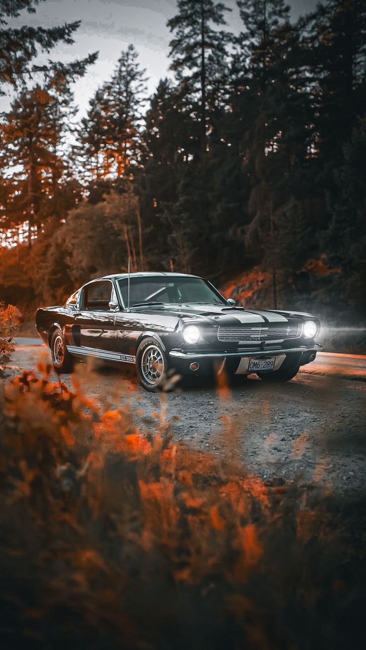 Wallpaper ford, mustang, car, trees, nature, Cars 4K by redwhite. Download wallpaper ford, mustang, car, trees, nature for free