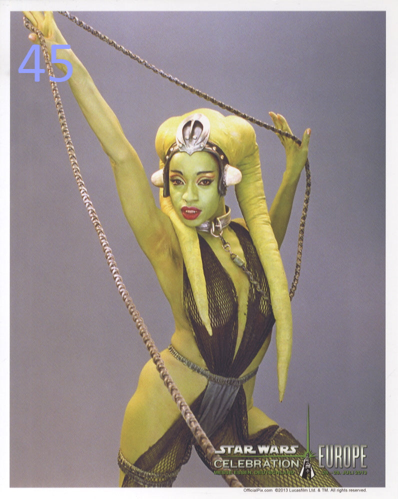 Oola Celebration Blank 8x10 Photo