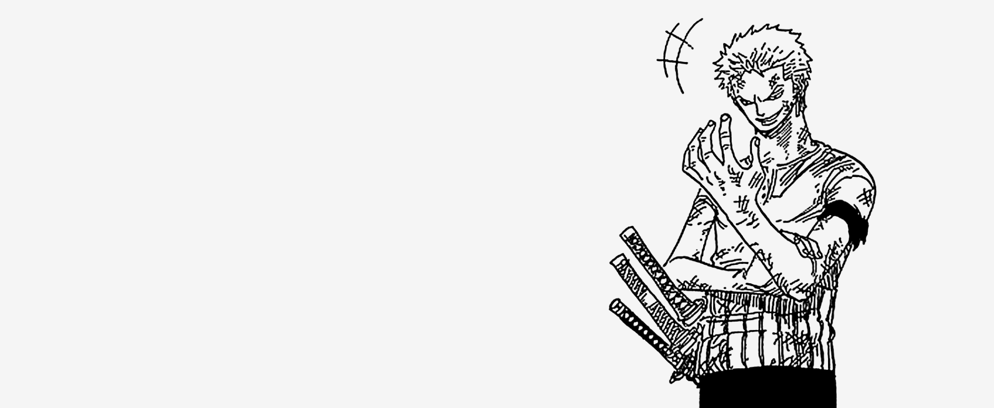 The Zoro Project On Tumblr