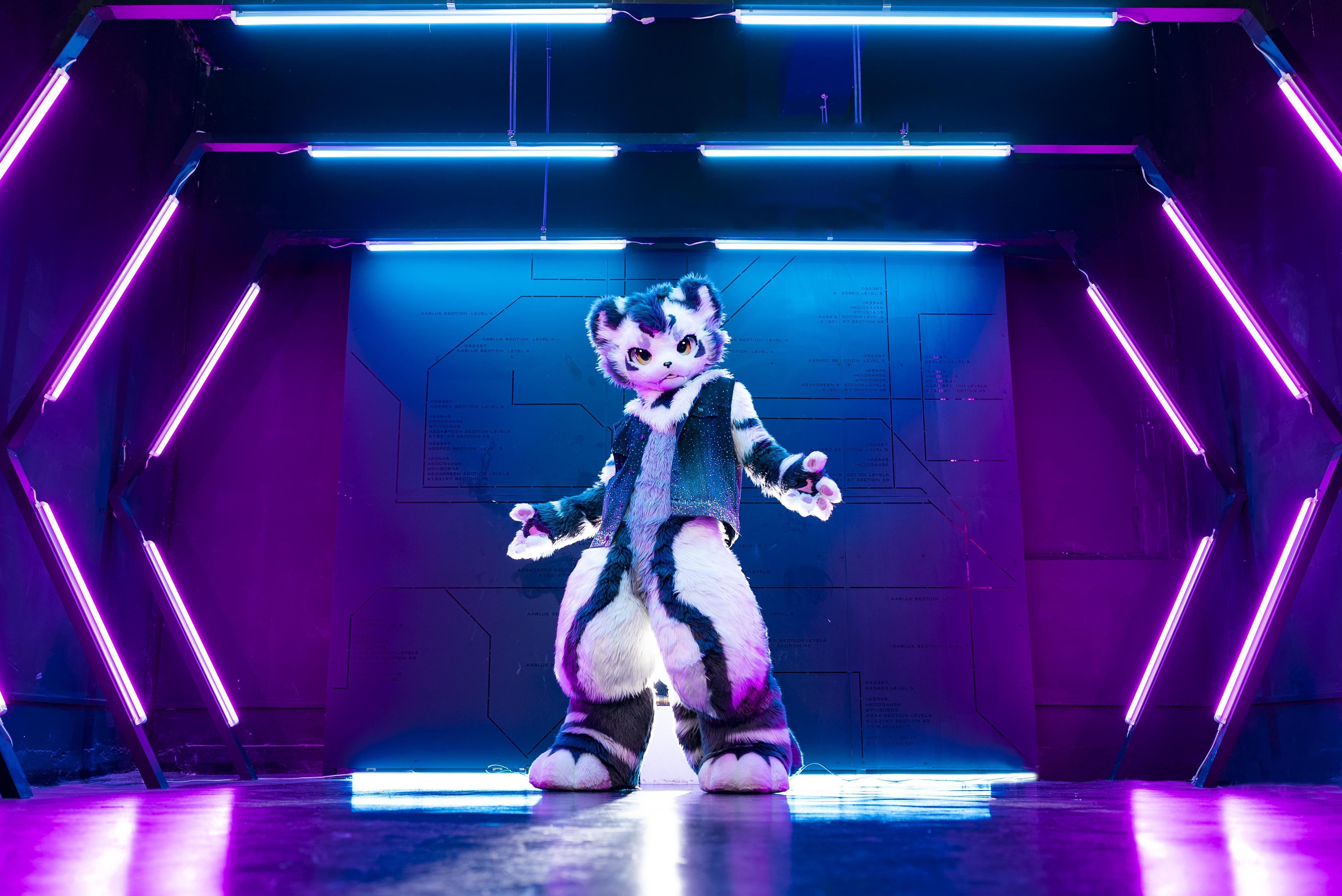 What's your favorite furry wallpaper?