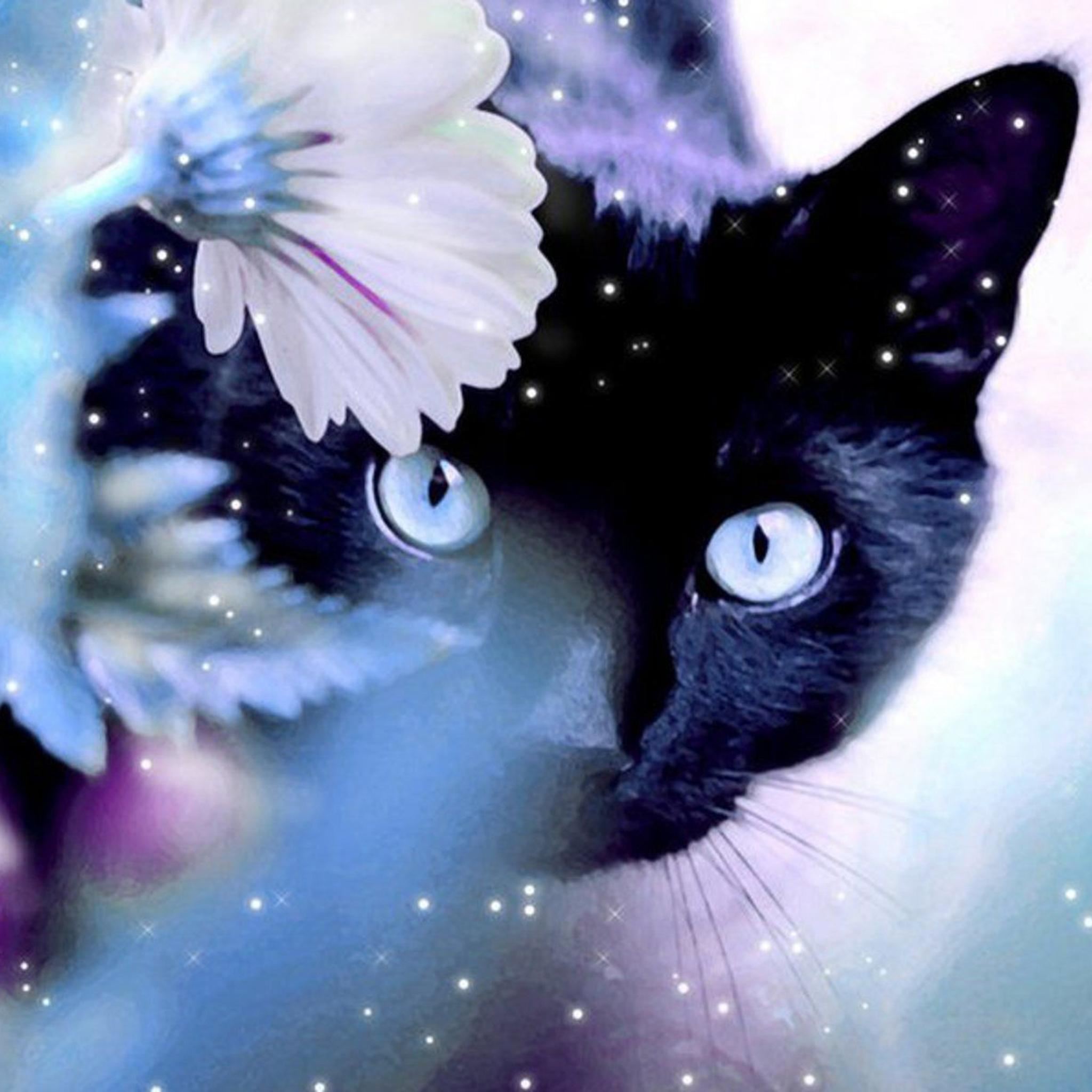 Mystery Black Cat Behind Shiny Flower iPad Air Wallpaper Free Download