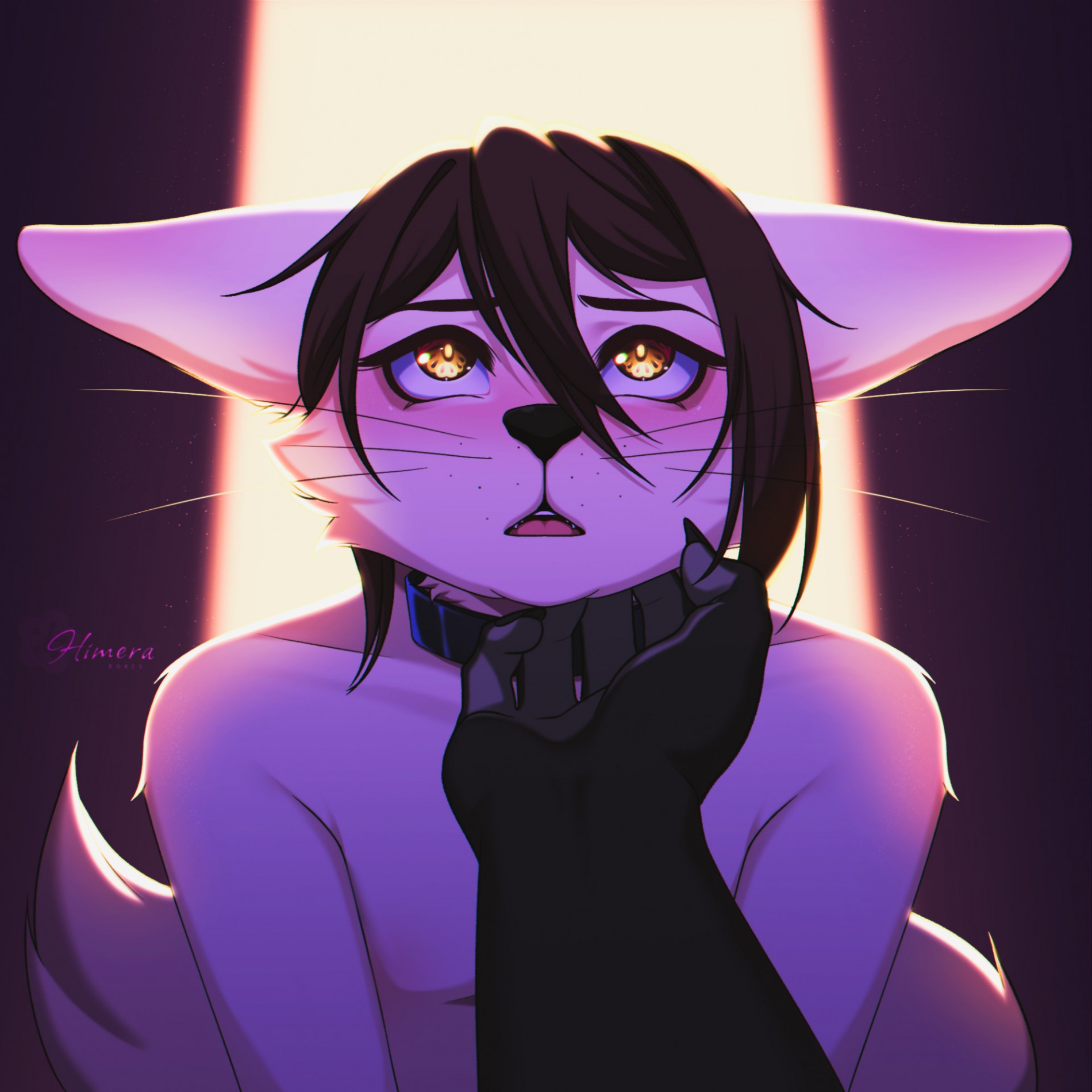 Furry Pfp Profile Picture, Pfp, Avatar, Dp, icon [ HQ ]