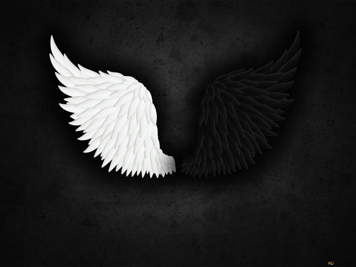Black and white angel wing HD wallpaper download