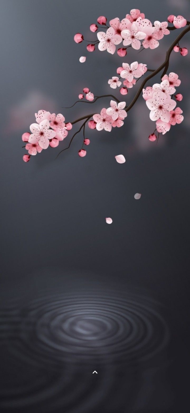 Cherry Blossom Wallpaper