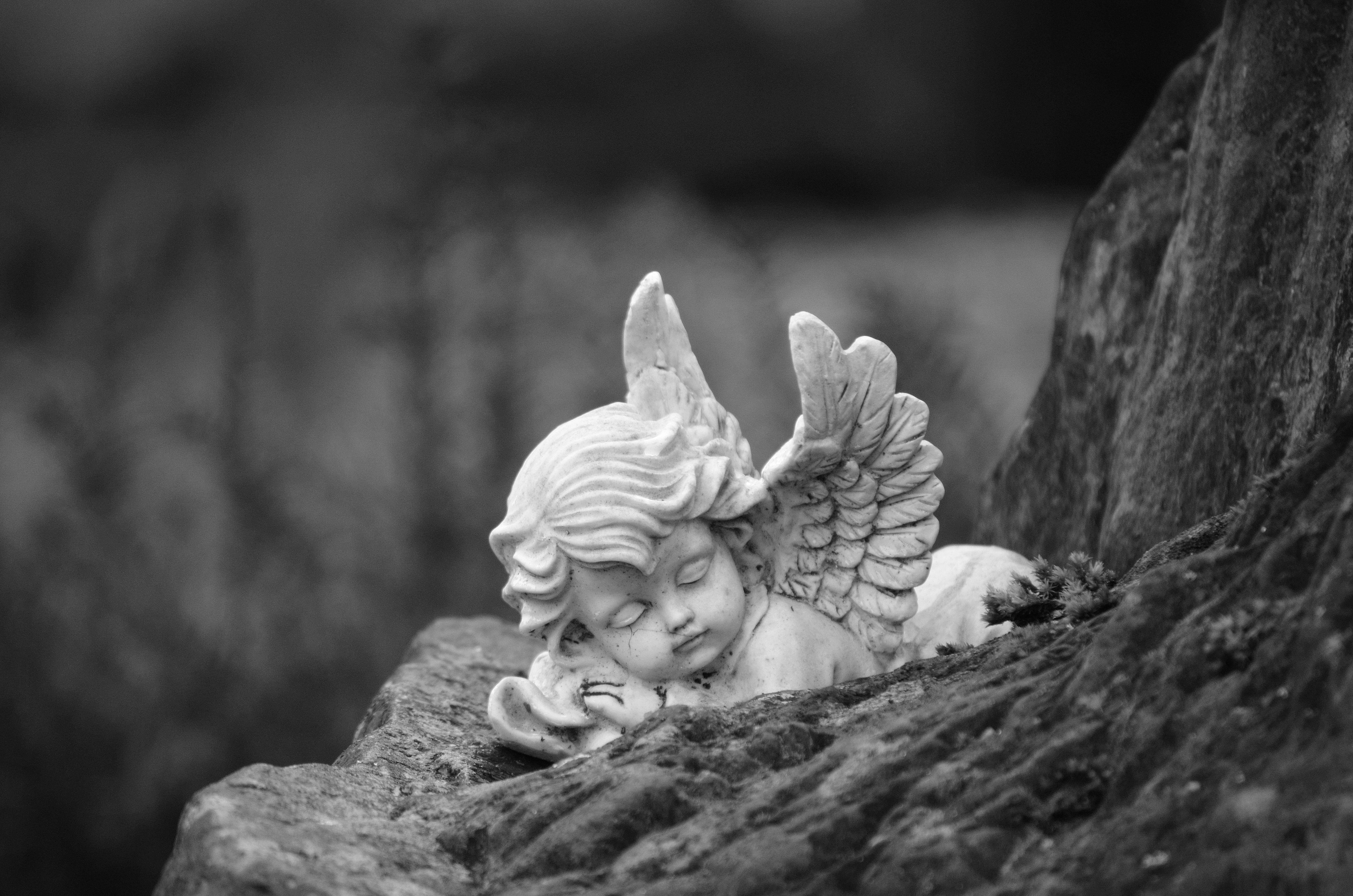 Black and White Photo of an Angel Figurine · Free