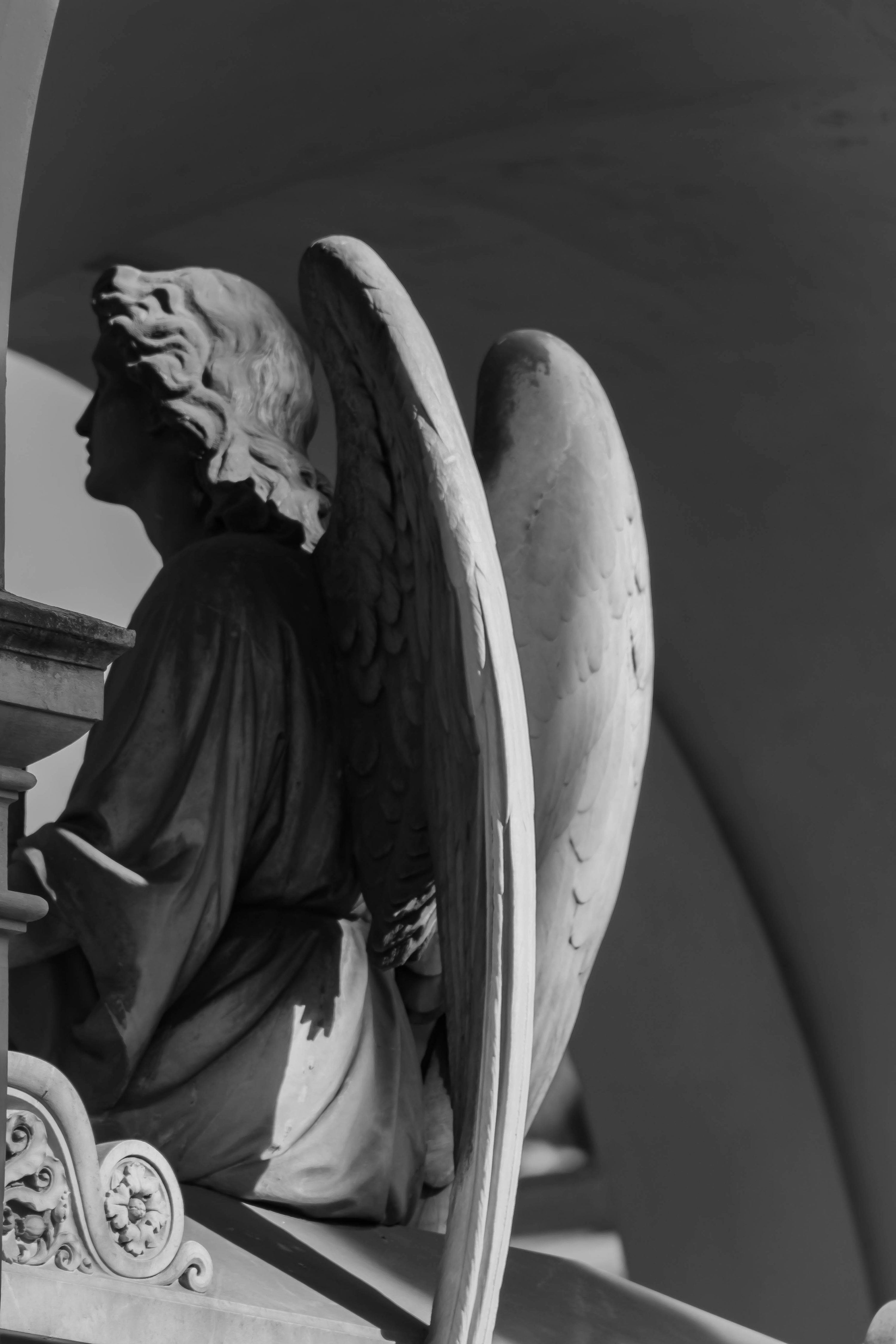 A black and white photo of a statue of an angel photo