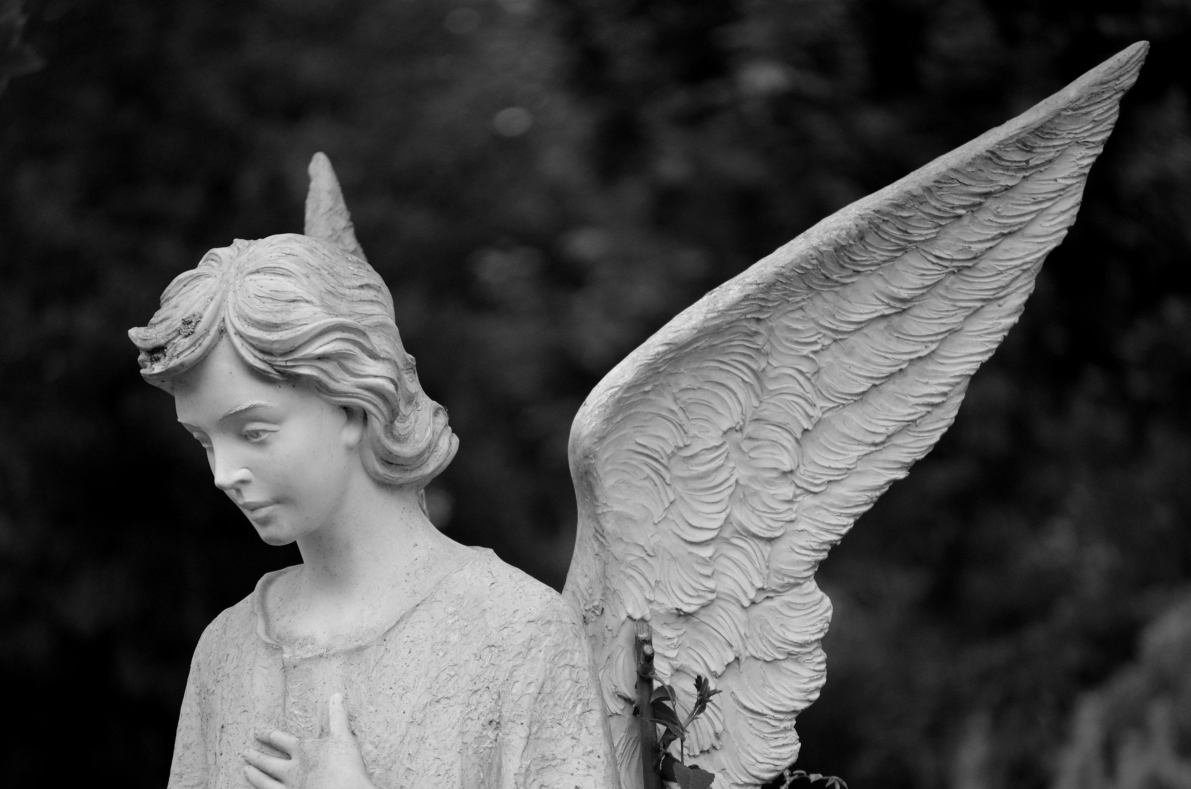 Monochrome Photo of an Angle Statue · Free